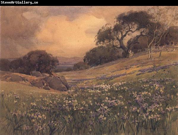 unknow artist Landscape with Field of Iris